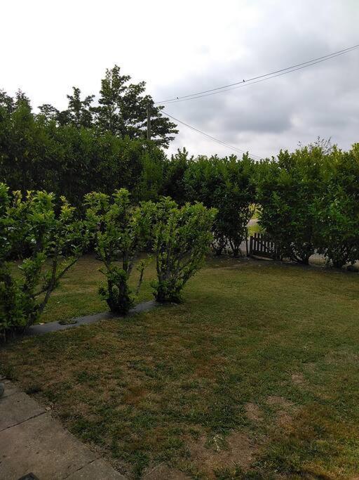 Gite Le Trefle Studioescos Dış mekan fotoğraf